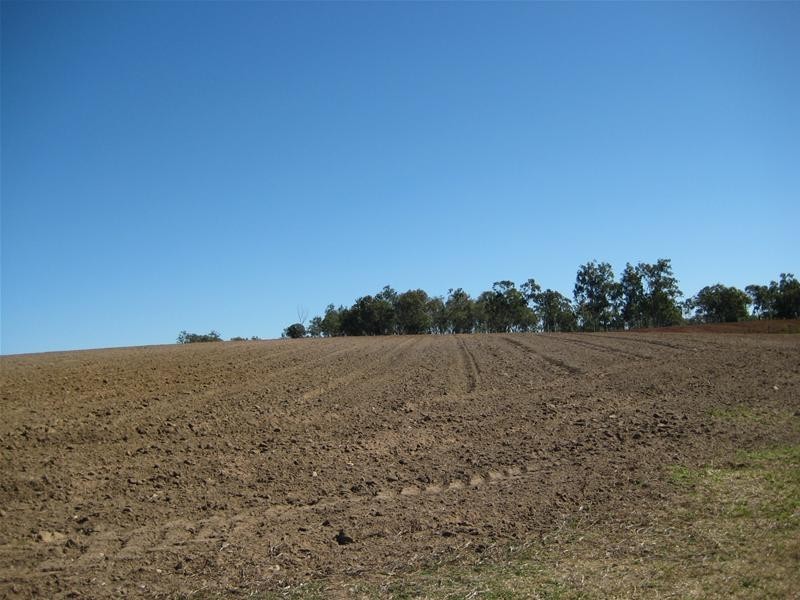 Electra QLD 4670