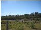 Electra QLD 4670