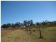 Electra QLD 4670
