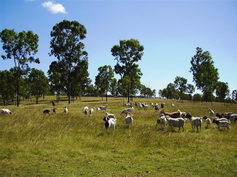 Taunton QLD 4674