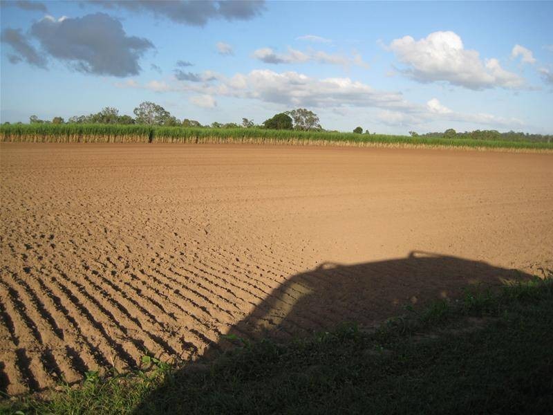 South Kolan QLD 4670