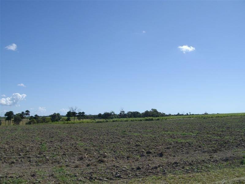 Moore Park Beach QLD 4670