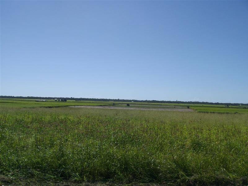 Moore Park Beach QLD 4670