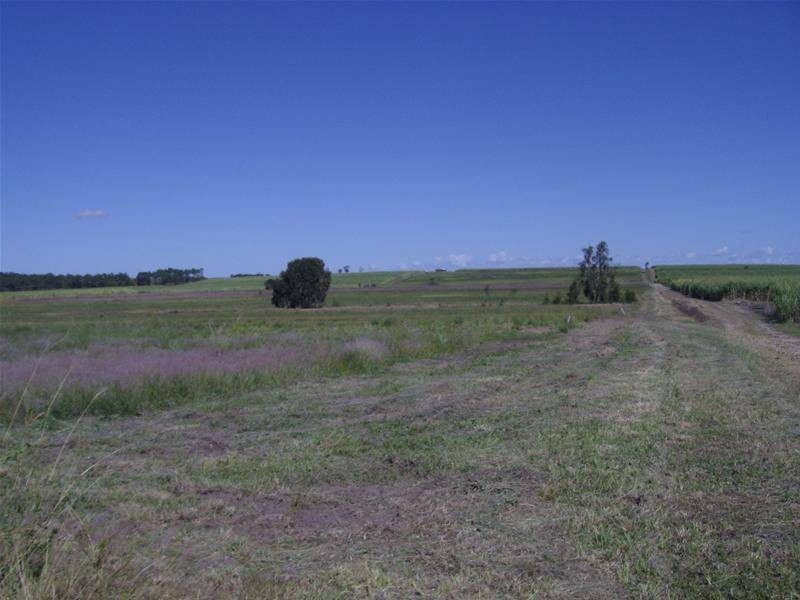 Moore Park Beach QLD 4670