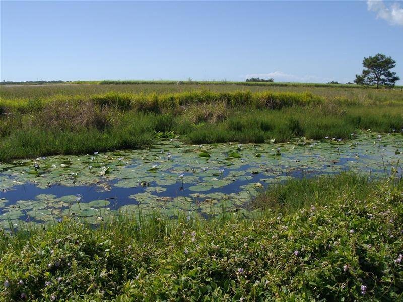 Moore Park Beach QLD 4670