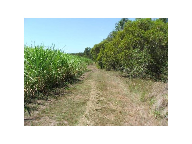 Moore Park QLD 4670