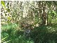 Moore Park QLD 4670