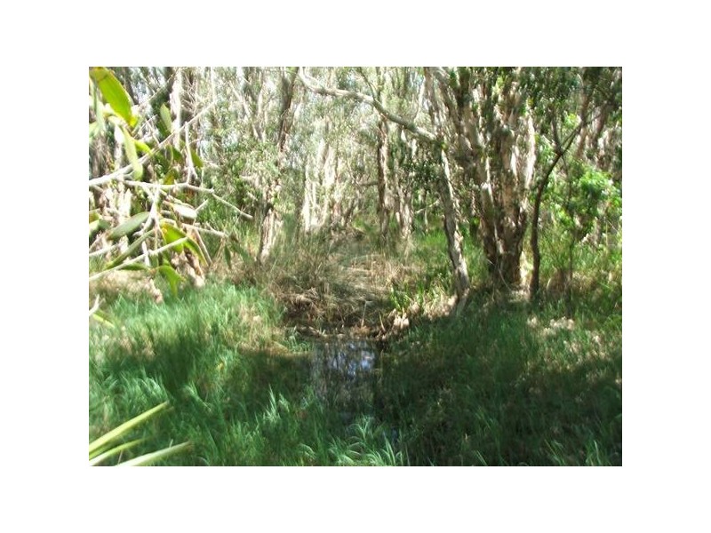 Moore Park QLD 4670