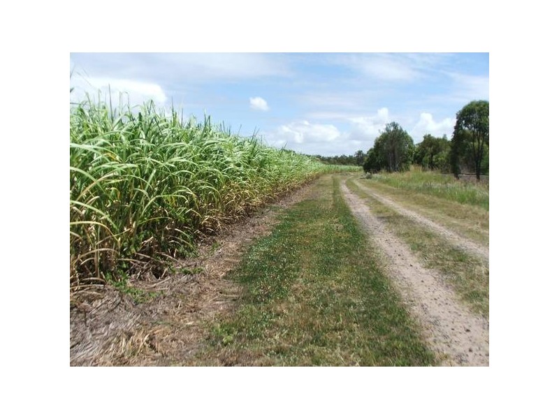 Moore Park QLD 4670