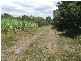 Moore Park QLD 4670