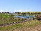 Moore Park QLD 4670