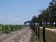 Moore Park QLD 4670