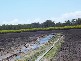 Moore Park QLD 4670