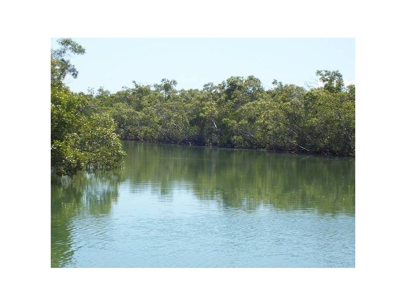 Moore Park QLD 4670