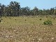 Moore Park QLD 4670