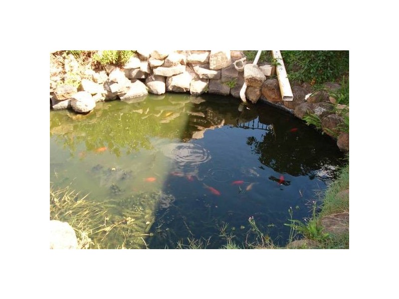 South Kolan QLD 4670