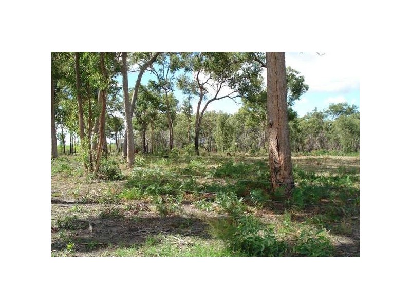 South Kolan QLD 4670