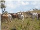 Moolboolaman QLD 4671