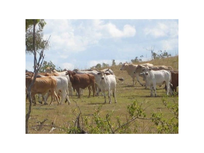 Moolboolaman QLD 4671