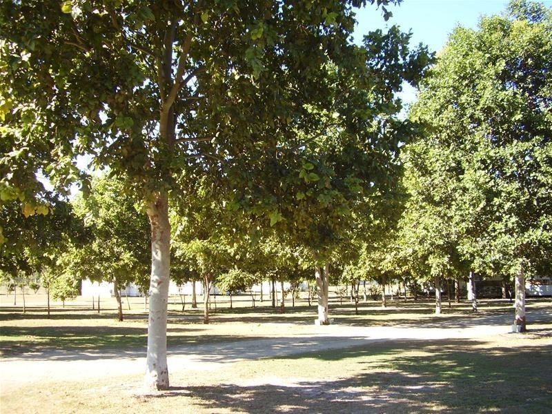 1384 Coast Road, Baffle Creek QLD 4674