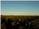 Calavos QLD 4670