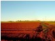 Calavos QLD 4670