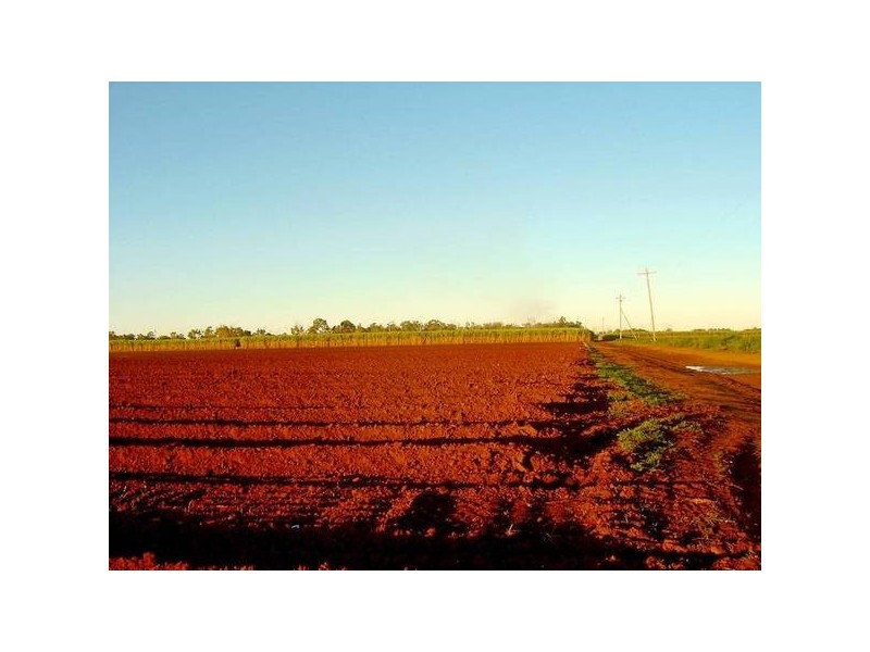 Calavos QLD 4670