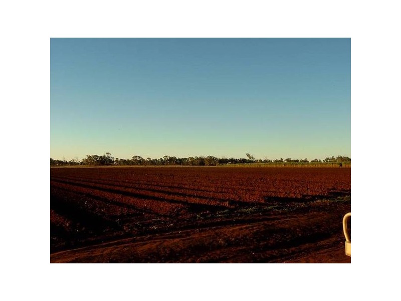 Calavos QLD 4670