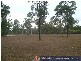 Baffle Creek QLD 4674