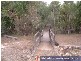 Baffle Creek QLD 4674