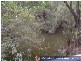 Baffle Creek QLD 4674