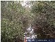 Baffle Creek QLD 4674