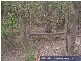 Baffle Creek QLD 4674