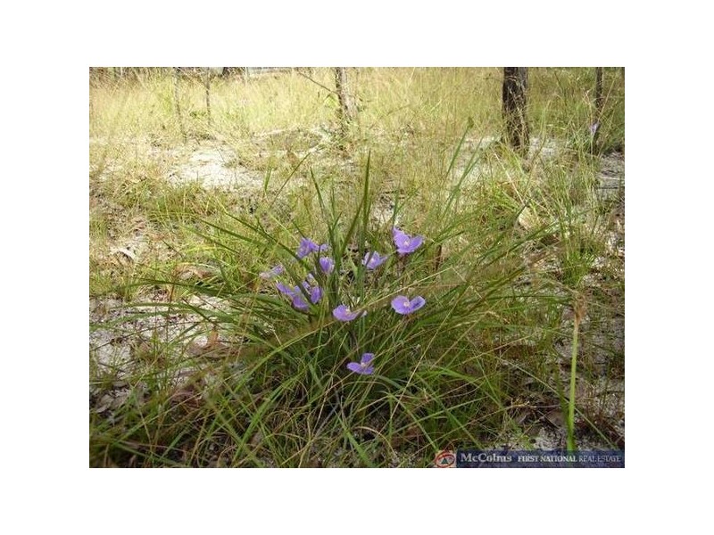 Mount Maria QLD 4674