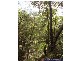 Mount Maria QLD 4674