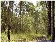 Mount Maria QLD 4674