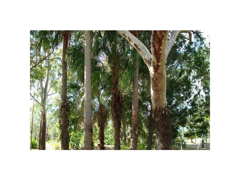 Moore Park QLD 4670