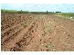 Woongarra QLD 4670