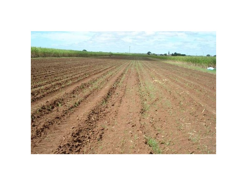 Woongarra QLD 4670