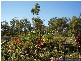 Mount Maria QLD 4674