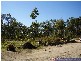 Mount Maria QLD 4674