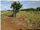 Woongarra QLD 4670