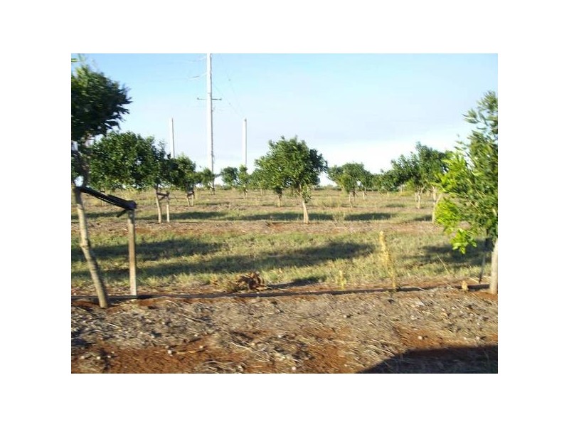 Woongarra QLD 4670