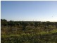 Woongarra QLD 4670