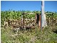 Gooburrum QLD 4670