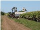 Gooburrum QLD 4670