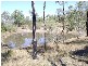 Horse Camp QLD 4671