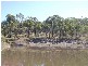 Horse Camp QLD 4671