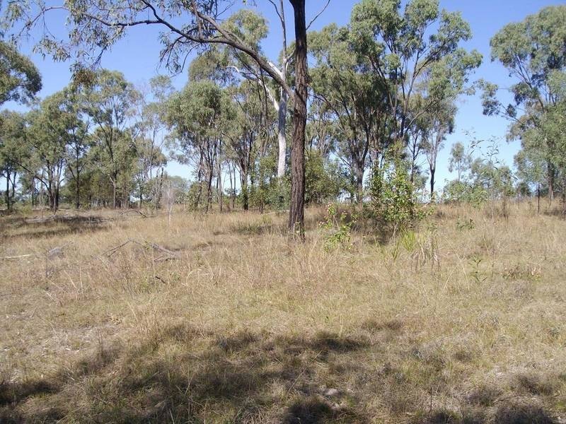 Horse Camp QLD 4671