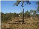 Berajondo QLD 4674
